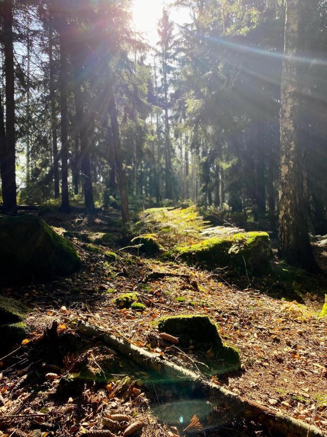 Fewo Wuenschendorf Durrrohrsdorf Экстерьер фото