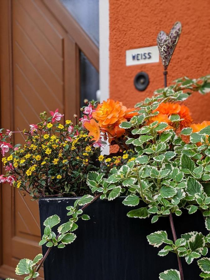Fewo Wuenschendorf Durrrohrsdorf Экстерьер фото